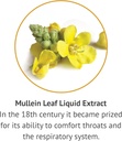 botanic-choice-mullein-leaf-liquid-extra-4.jpg