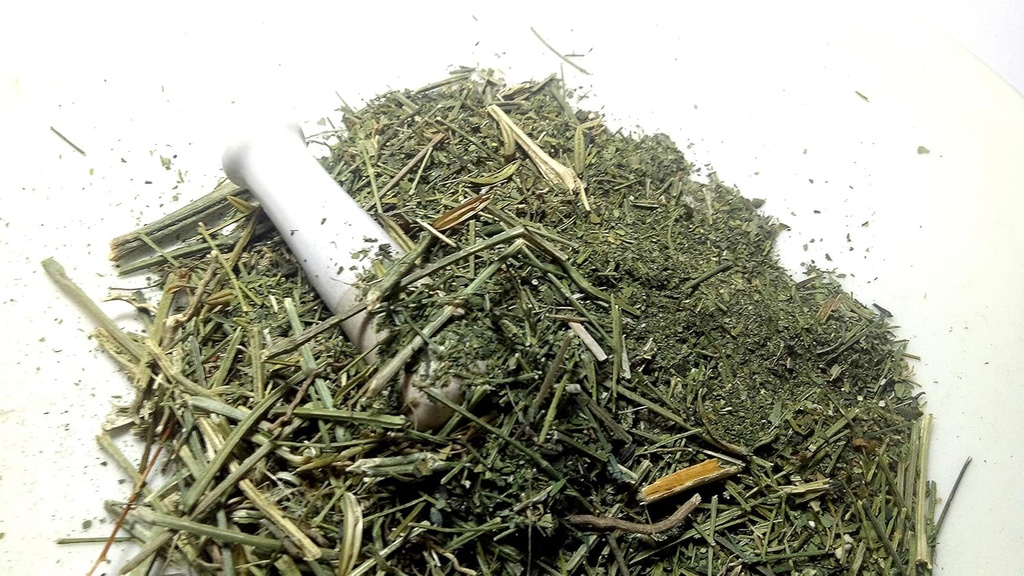 ancient-indian-ayurvedic-herb-swertiachi-3.jpg