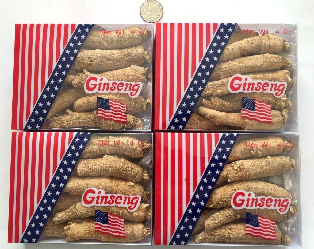 american-ginseng-from-wisconsin-ginseng--3.jpg