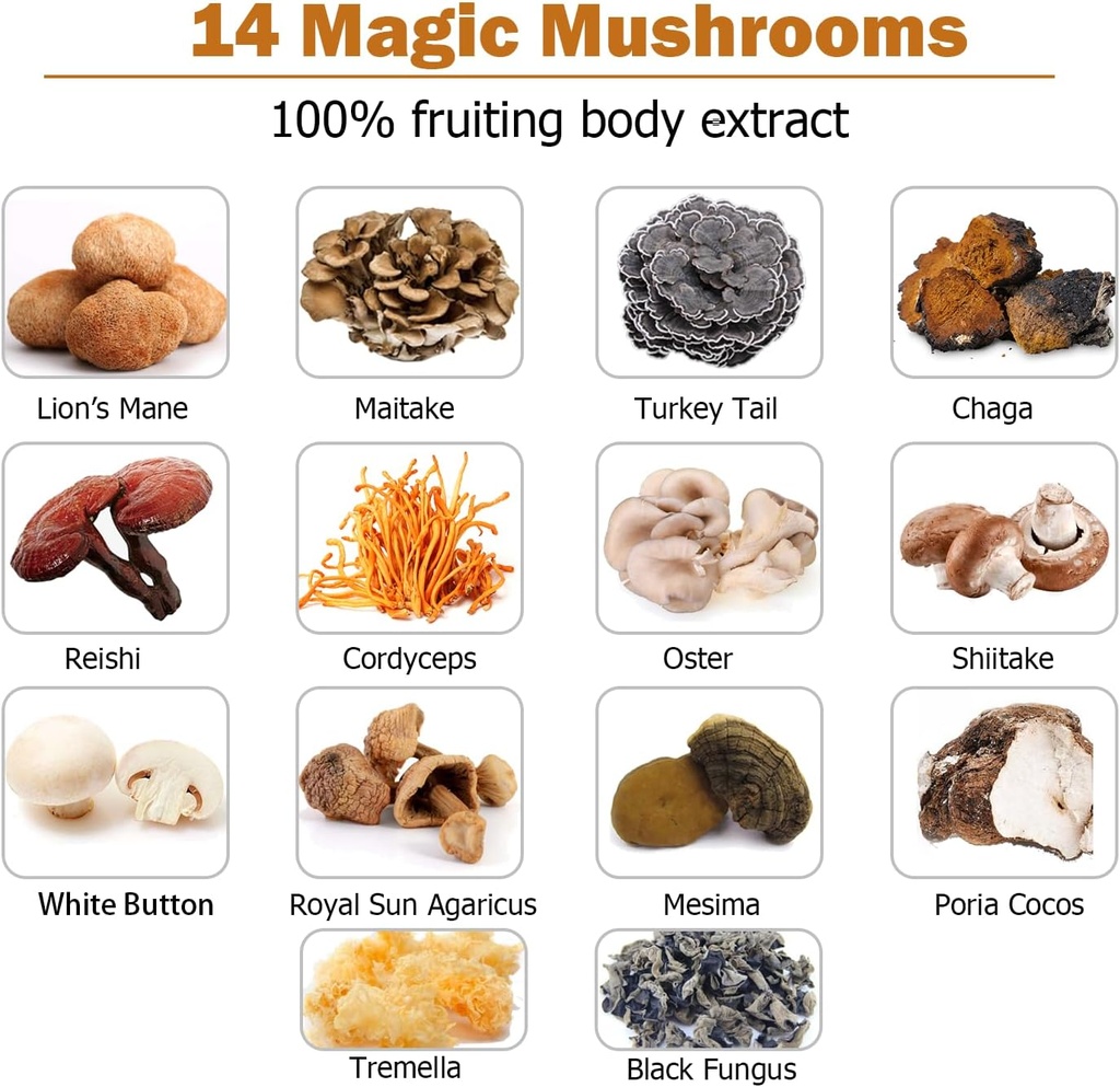 14-mushrooms-supplement-120-capsules---i-3.jpg