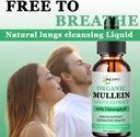 mullein-drops-for-lungs-powerful-mullein-4.jpg