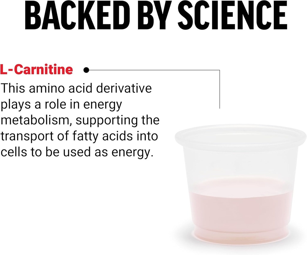 force-factor-l-carnitine-supplement-liqu-2.jpg