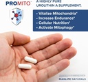 promito-urolithin-a-supplement-500mg-pur-2.jpg