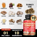 satoomi-90-capsules---10in1-turkey-tail--4.jpg
