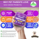probiotics-for-dogsdog-probiotics-and-di-3.jpg