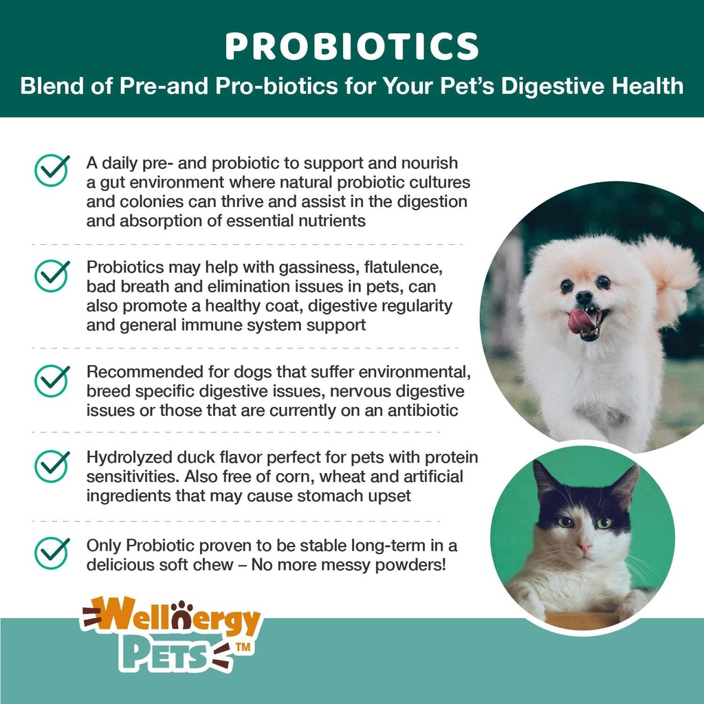 wellnergy-daily-probiotic-prebiotics-sof-4.jpg