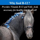 su-per-b12-for-horses---equine-vitamins--5.jpg
