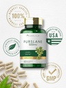 carlyle-purslane-capsules-500mg-120-coun-5.jpg