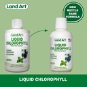 land-art---liquid-chlorophyll-mint-cold--2.jpg