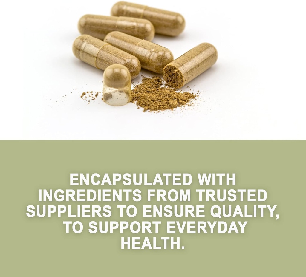 evergreen-herbs-supplement-herbal-capsul-2.jpg