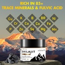 shilajit-resin-himalayan-shilajit-organi-4.jpg
