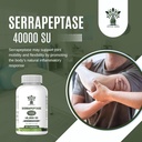 serrapeptase-supplement-40000-spu---all--4.jpg