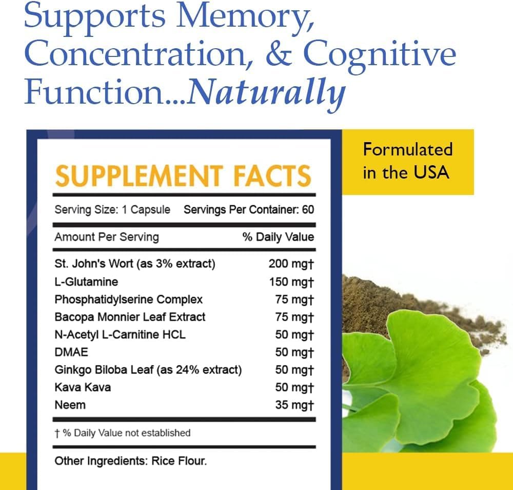 phenelite-nootropic-brain-support-supple-4.jpg