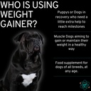 dog-weight-gainer-powder-and-bladder-str-2.jpg