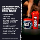 ghost-size-v3-muscle-builder-dietary-sup-3.jpg