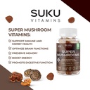 suku-vitamins---super-mushroom--reishi-c-6.jpg