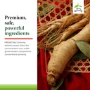 terry-naturally-hrg80-red-ginseng-energy-5.jpg