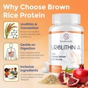 urolithin-a-supplement-1500mg-plus-brown-6.jpg