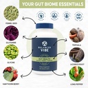balanced-vibe-organic-gut-health-supplem-2.jpg