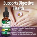 natures-answer-alcohol-free-sage-leaf-su-4.jpg
