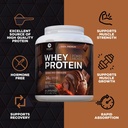 premium-100-whey-protein-powder-24g-doub-5.jpg