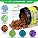 probiotics-for-dogs-digestive-health-dig-3.jpg