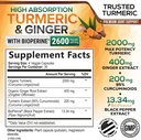 turmeric-curcumin-supplement-2600mg---wi-2.jpg