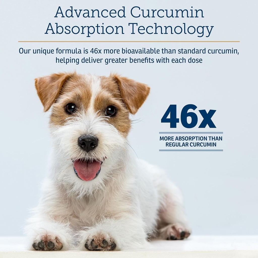 rx-vitamins-curcuwin---curcumin-for-dogs-3.jpg