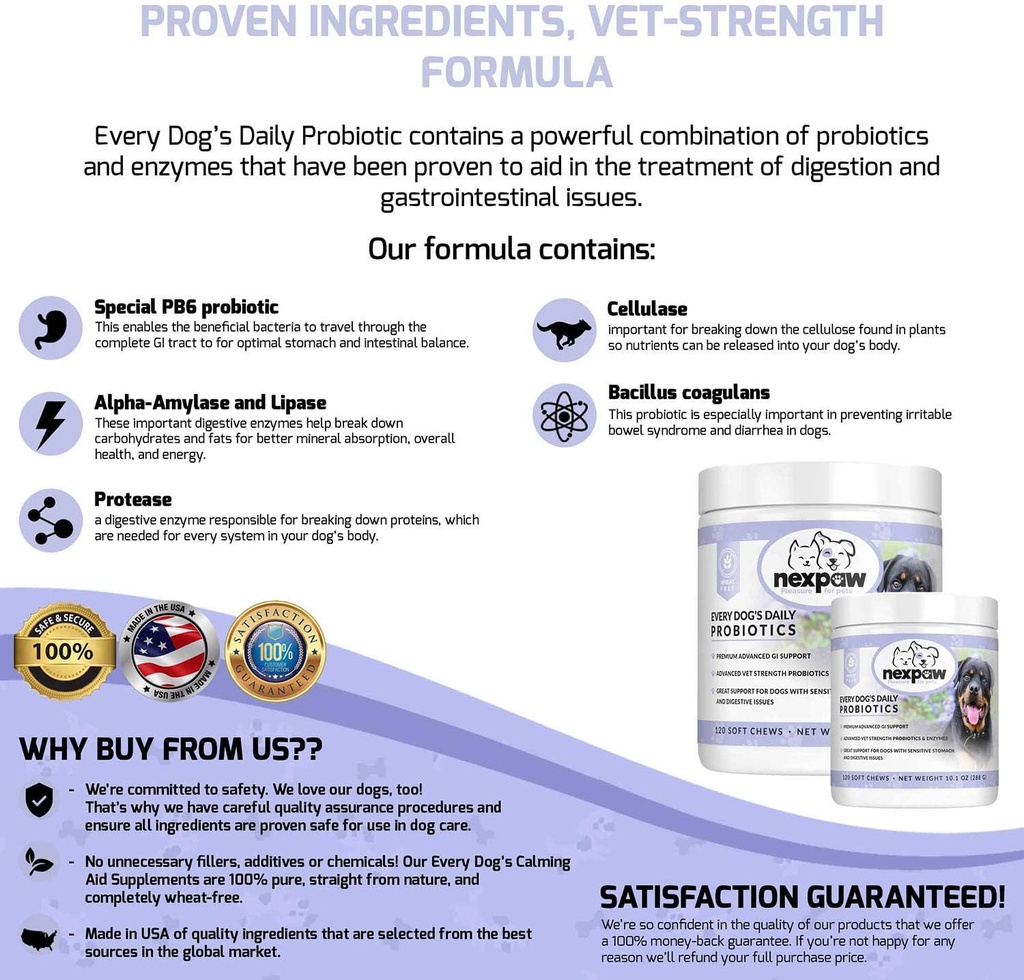 dog-probiotics-and-digestive-enzymes---r-4.jpg