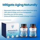 layer-origin-mitiaging-bundle-anti-aging-2.jpg