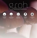 groh-daily-vitality-boost---all-natural--2.jpg