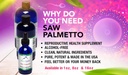 honeycombs-saw-palmetto-extract-herbal-s-4.jpg