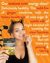 ginger-roars---60-energy-gummies---vegan-3.jpg