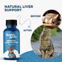 hepatic-liver-support-for-cats-dissolvab-3.jpg