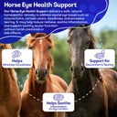 ha4e---horse-eye-health-support---mainta-4.jpg