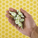 tummydrops-groovy-peppermint-pack-mix-of-5.jpg