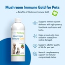 pet-wellbeing-more-mushrooms-kit-for-dog-4.jpg