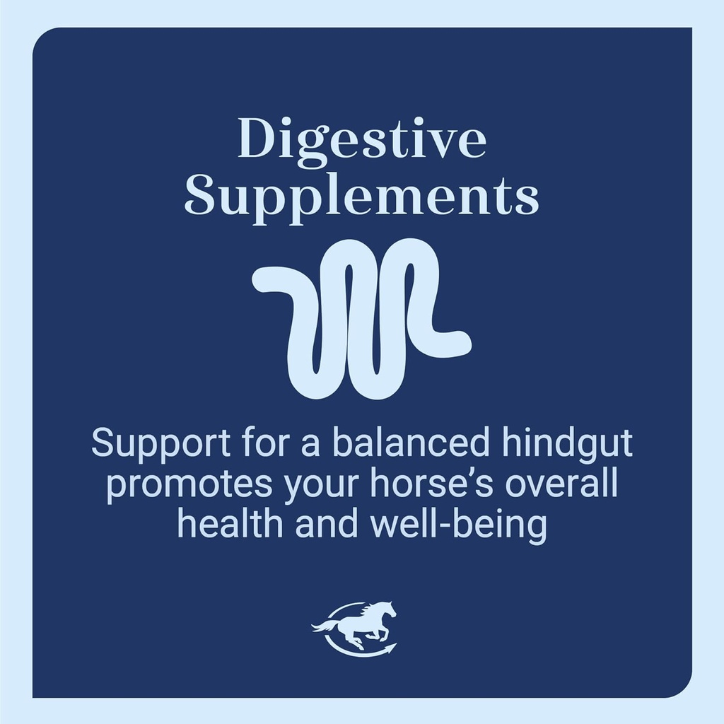 absorb-all-horse-probiotics-digestive-su-4.jpg