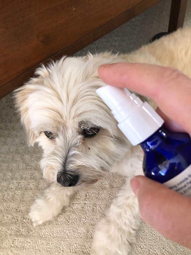 eye-senior---all-natural-liquid-spray-su-3.jpg