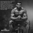 beverly-international-muscle-synergy-240-4.jpg