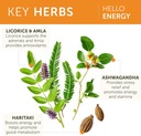himalaya-hello-energy-with-ashwagandha-f-4.jpg