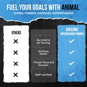 animal-supercharged-creatine-powder---fl-6.jpg