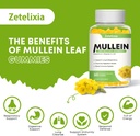 mullein-gummies-for-clear-lungs-10-in-1--3.jpg