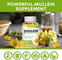 mullein-gummies-for-clear-lungs-10-in-1--4.jpg