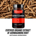 phinaturals-organic-ashwagandha-root-ext-6.jpg