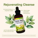 herbs-etc-essiac-tonic-4-oz-5.jpg