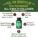 peak-performance-all-5-multi-collagen-ca-2.jpg