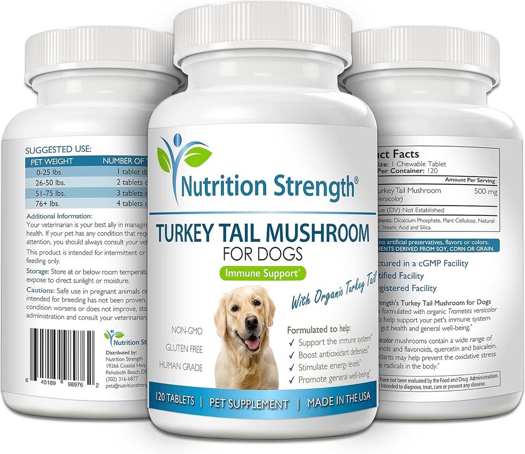 turkey-tail-mushroom-for-dogs-to-support-4.jpg