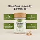 snap-supplements-olive-leaf-extract-caps-3.jpg