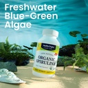 healthy-origins-spirulina-500-mg-organic-2.jpg